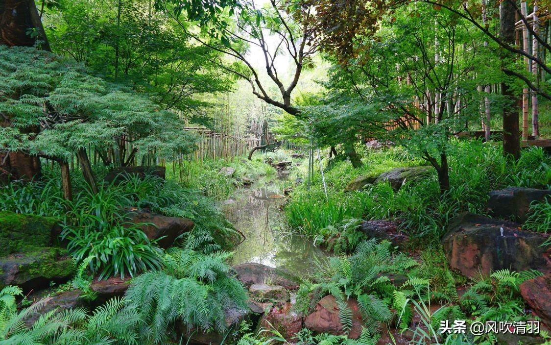 好玩的遛娃公园成都,成都南边公园免费景点