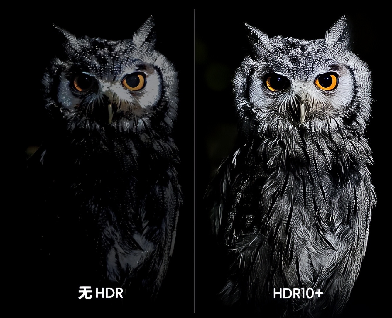 家里没空间怎么放投影仪,坚果智慧墙o1pro超短焦投影仪家用