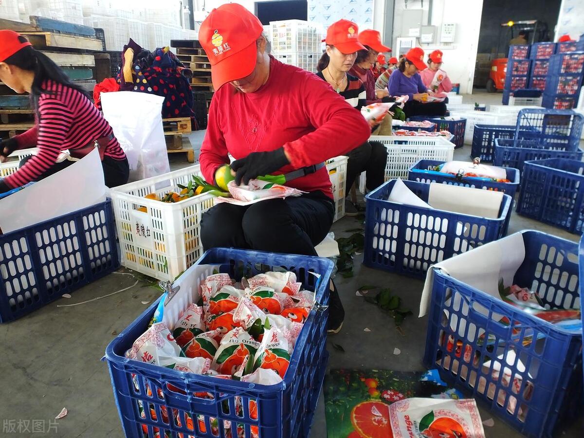 农业新手千万别入行,农业新人该怎么做