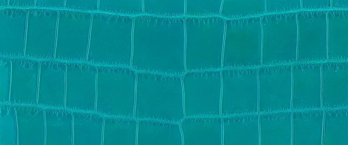 香奈儿鱼子酱的大球皮是什么皮质,香奈儿cf小号皮质是硬的还是软的