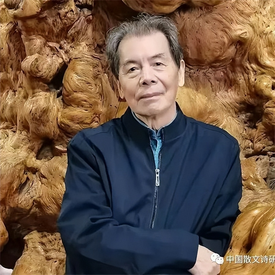 仁庄：一个诗人的记忆与想象