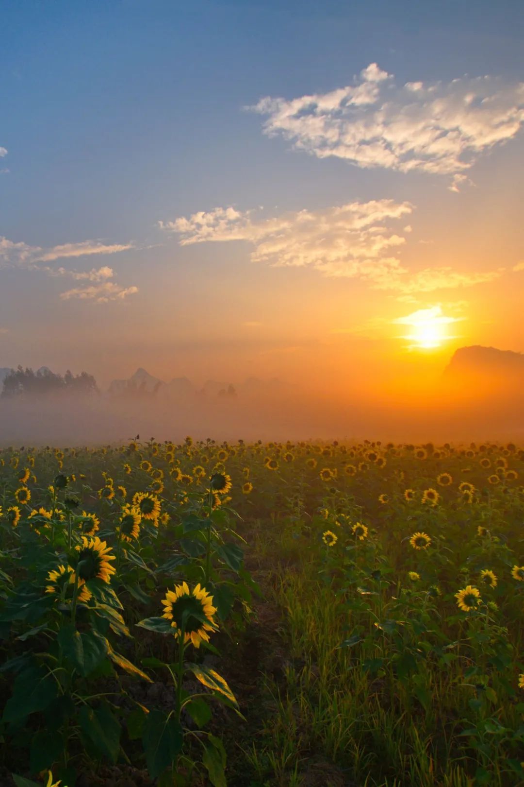 南宁徐霞客出游攻略,徐霞客在广西住了多少年
