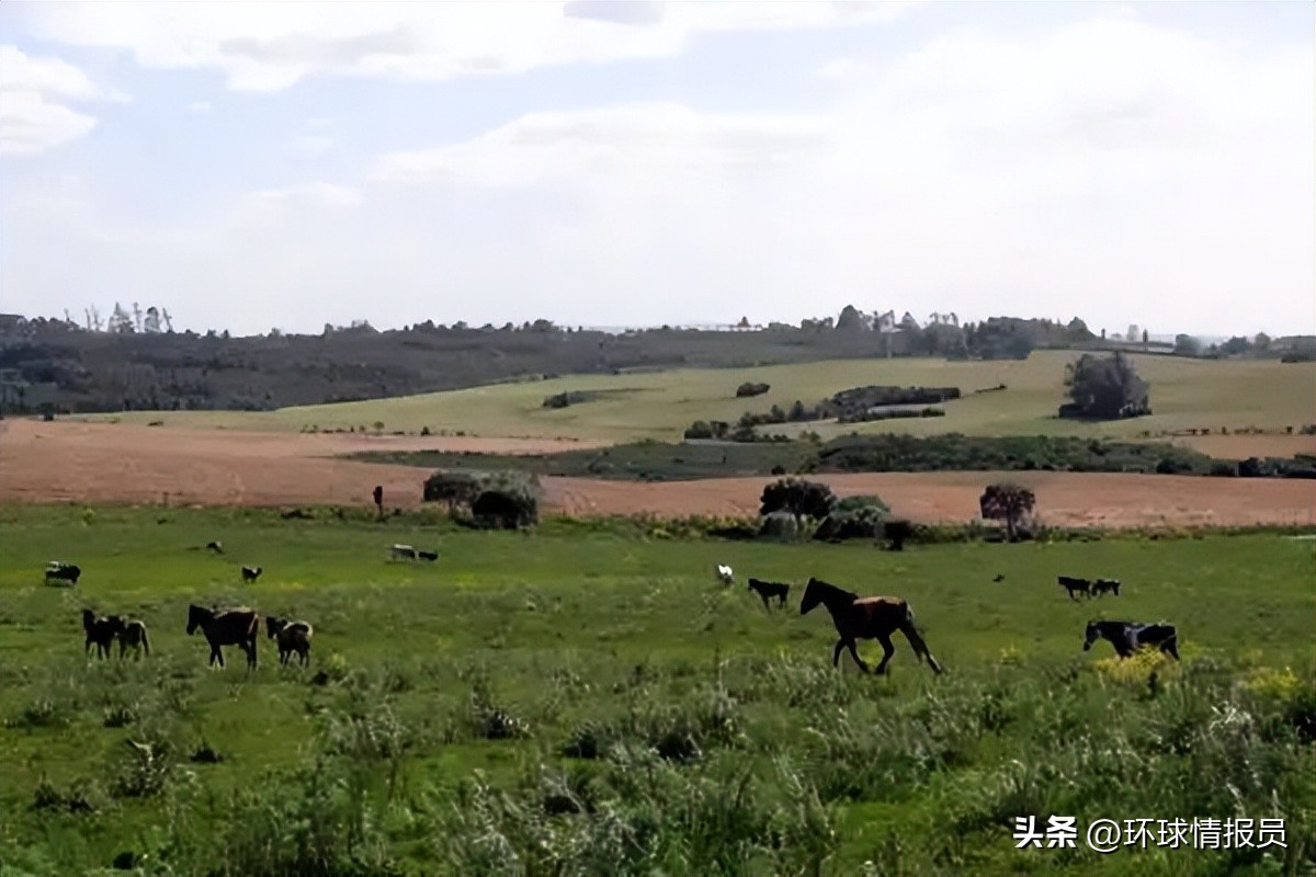 阿根廷进军世界杯历程,阿根廷挺进8强