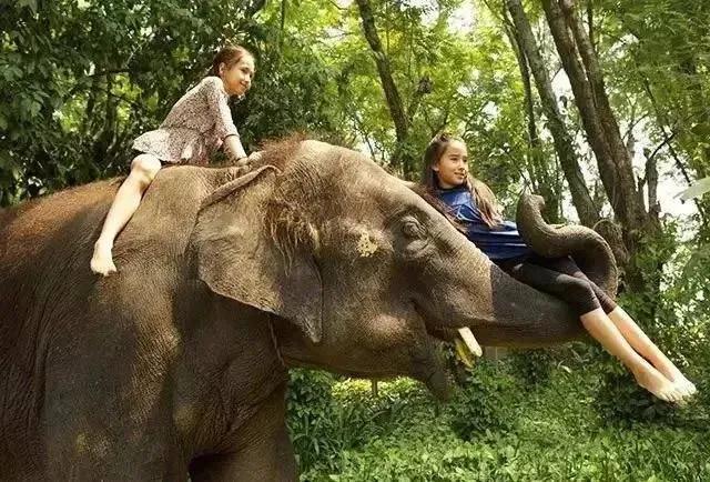 爱，在雨林绽放璀璨星光