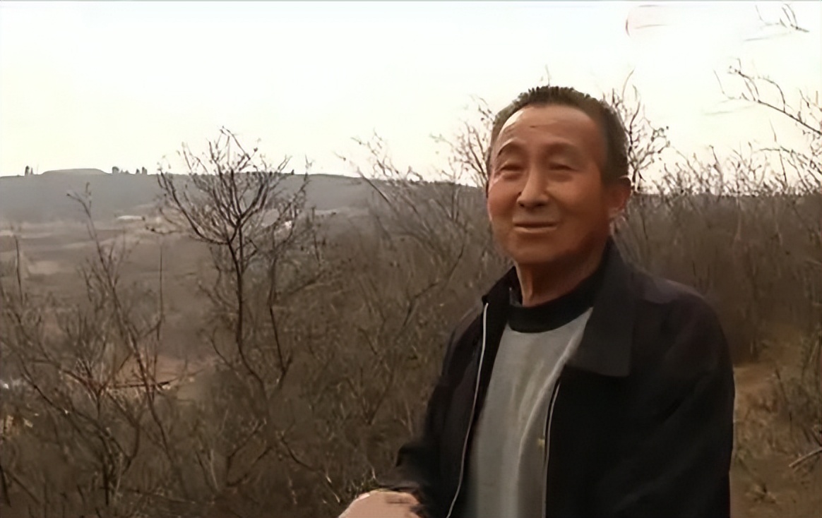 山西老农发现凤凰,山西老农发现2只凤凰精心养4年