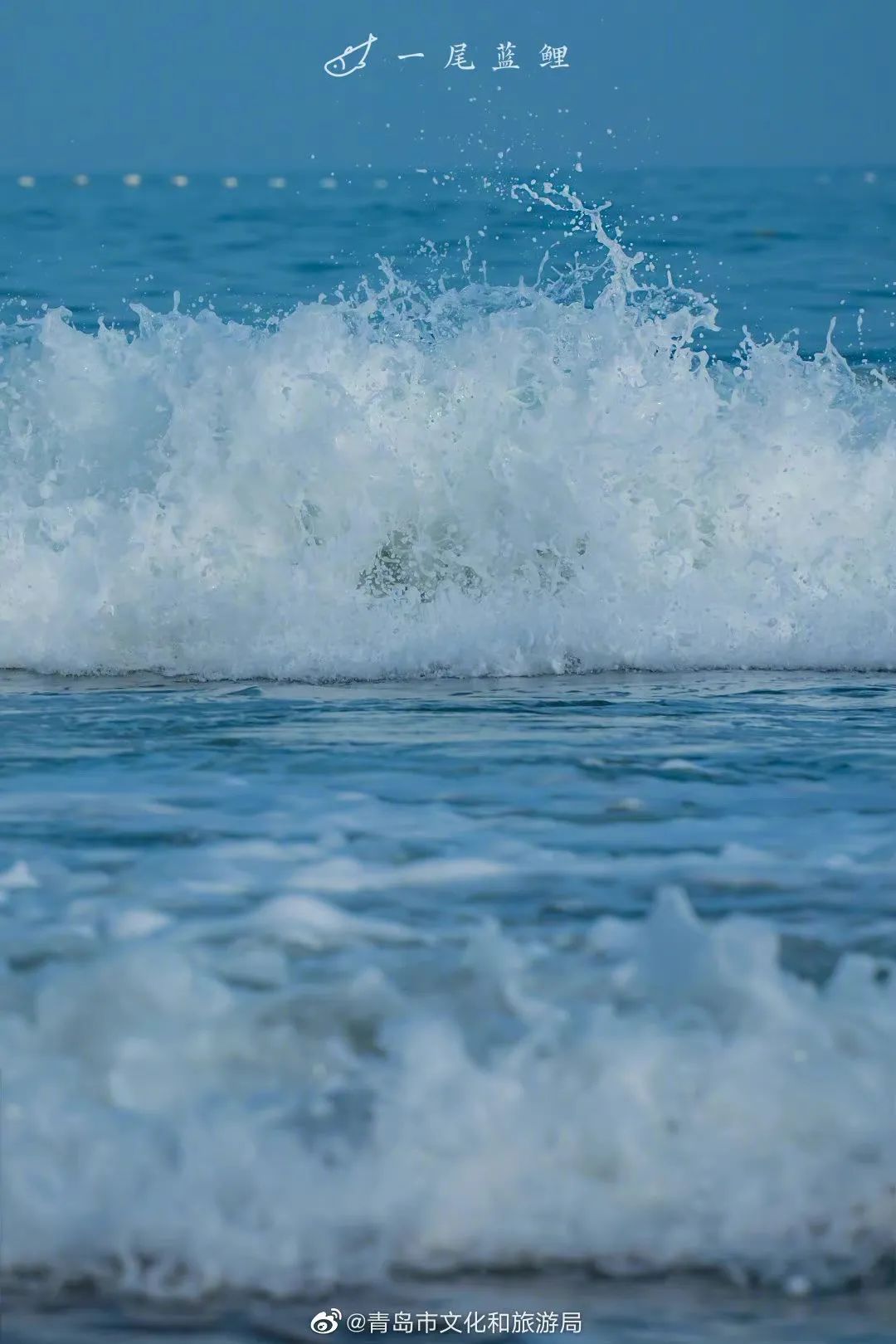 青岛绝美海滩,青岛最好的无人海滩