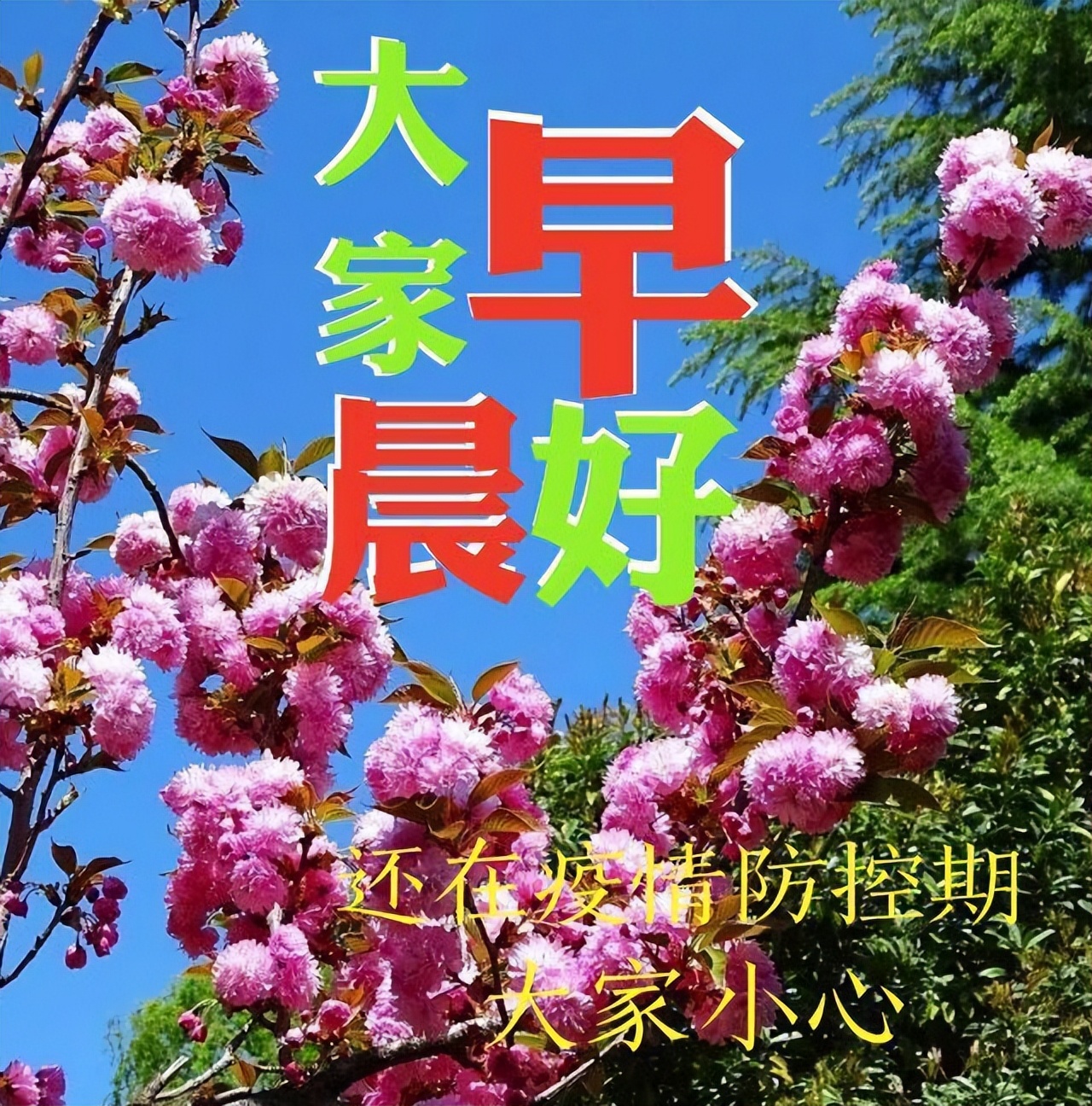 清晨开心幸福问候表情图片,早上好祝你天天开心表情图片