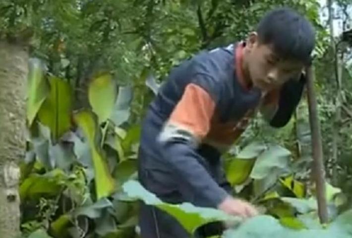 13岁孤儿独自生活,孤儿韦仁龙707分考上北大