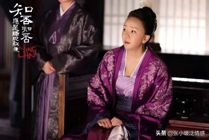 《知否》：顾家最虚伪的小姑子，羞辱明兰、硬刚公主、模仿大*氏秦**