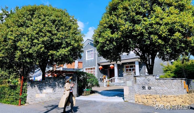 浙江杭州余杭旅游攻略,杭州余杭旅游攻略必去景点推荐