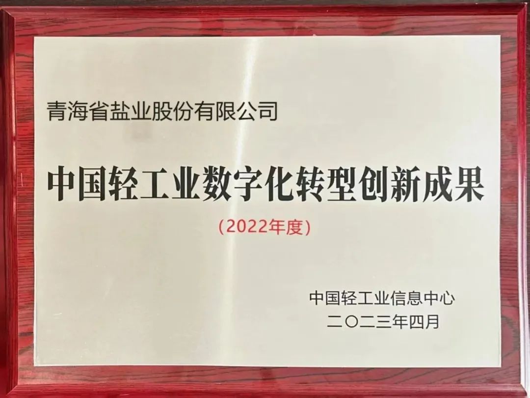 青海盐业全国分公司,青海盐业公司概况