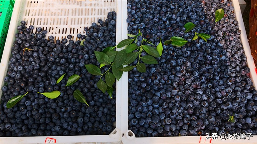 6种水果不要不舍得给宝宝吃,立秋后多给孩子吃这六种应季水果