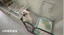 濂崇敓鍋氳揣鎷夋媺鍙告満,濂冲瀛愬仛鍙告満璺戣揣鎷夋媺