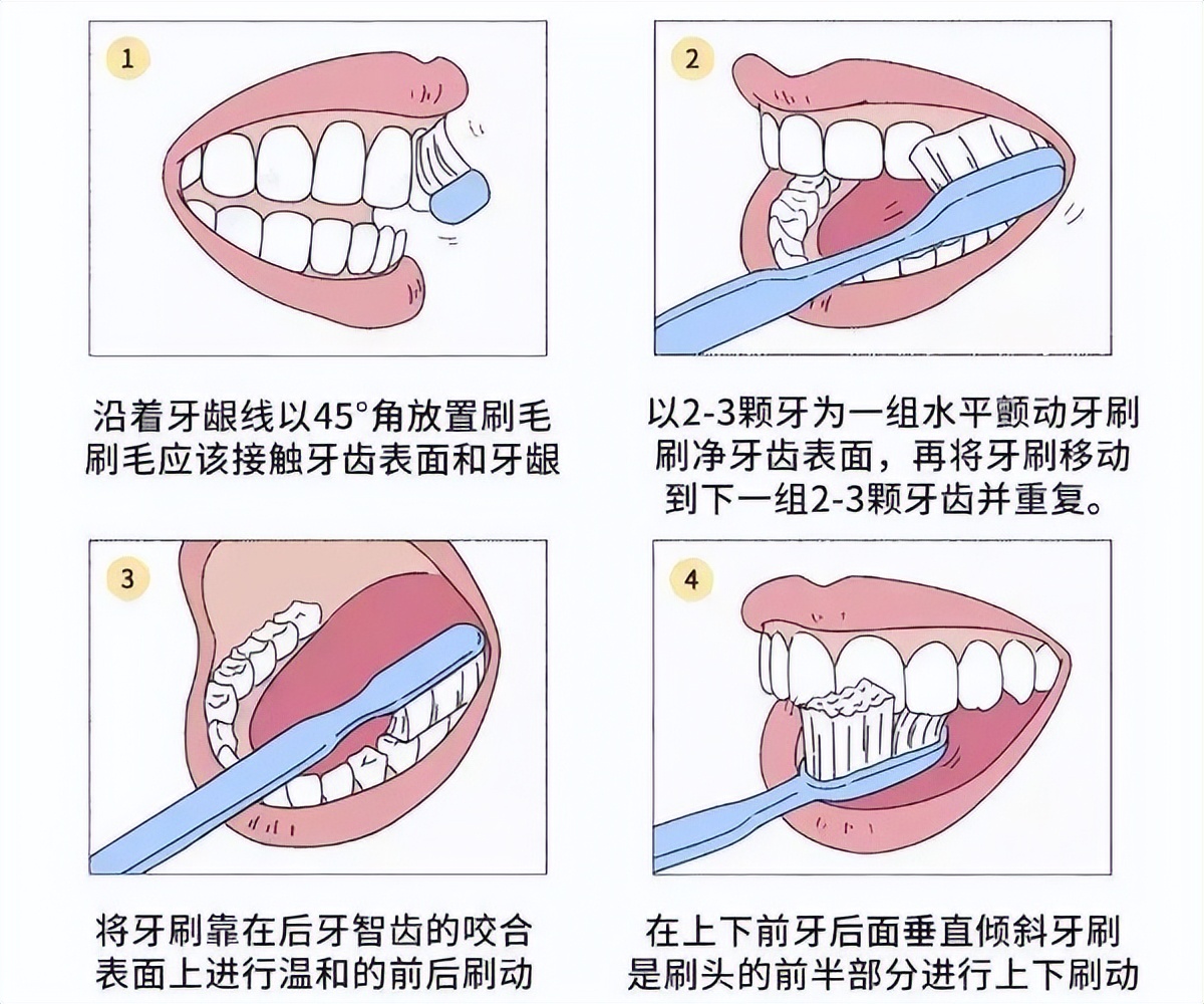 小旋转电动牙刷的正确使用方法,全自动电动牙刷的正确使用方法