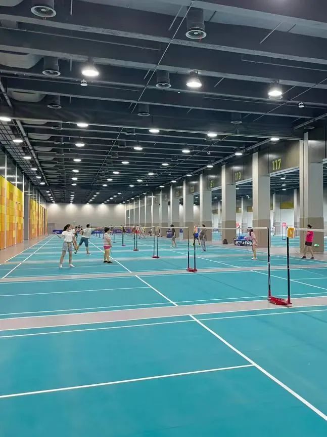 收藏价值的篮球推荐,收藏价值高乒乓球拍