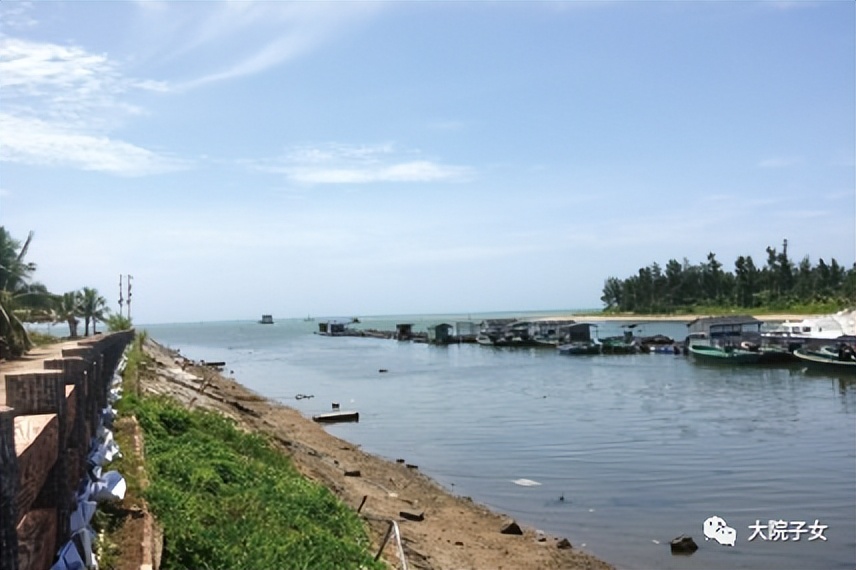 孙新生简介,孙新生