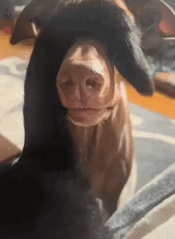 老婆不知去哪买的这衣服，刚进家门就给我吓了一身汗，好尴尬