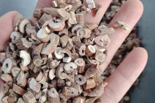 倪海厦讲乳腺结节的处方,张仲景乳腺增生