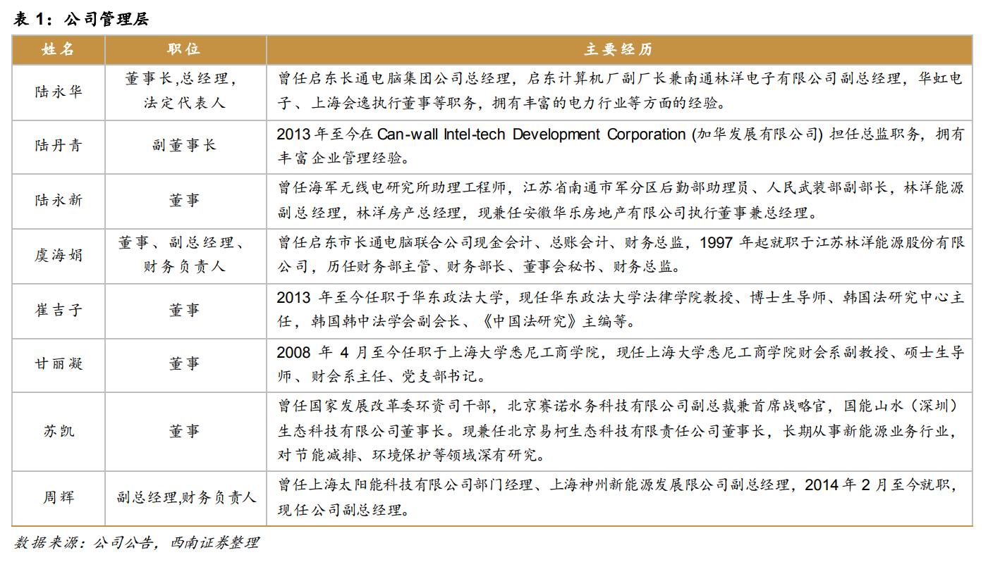 林洋能源智能电表系统,林洋能源智能电表全球出口