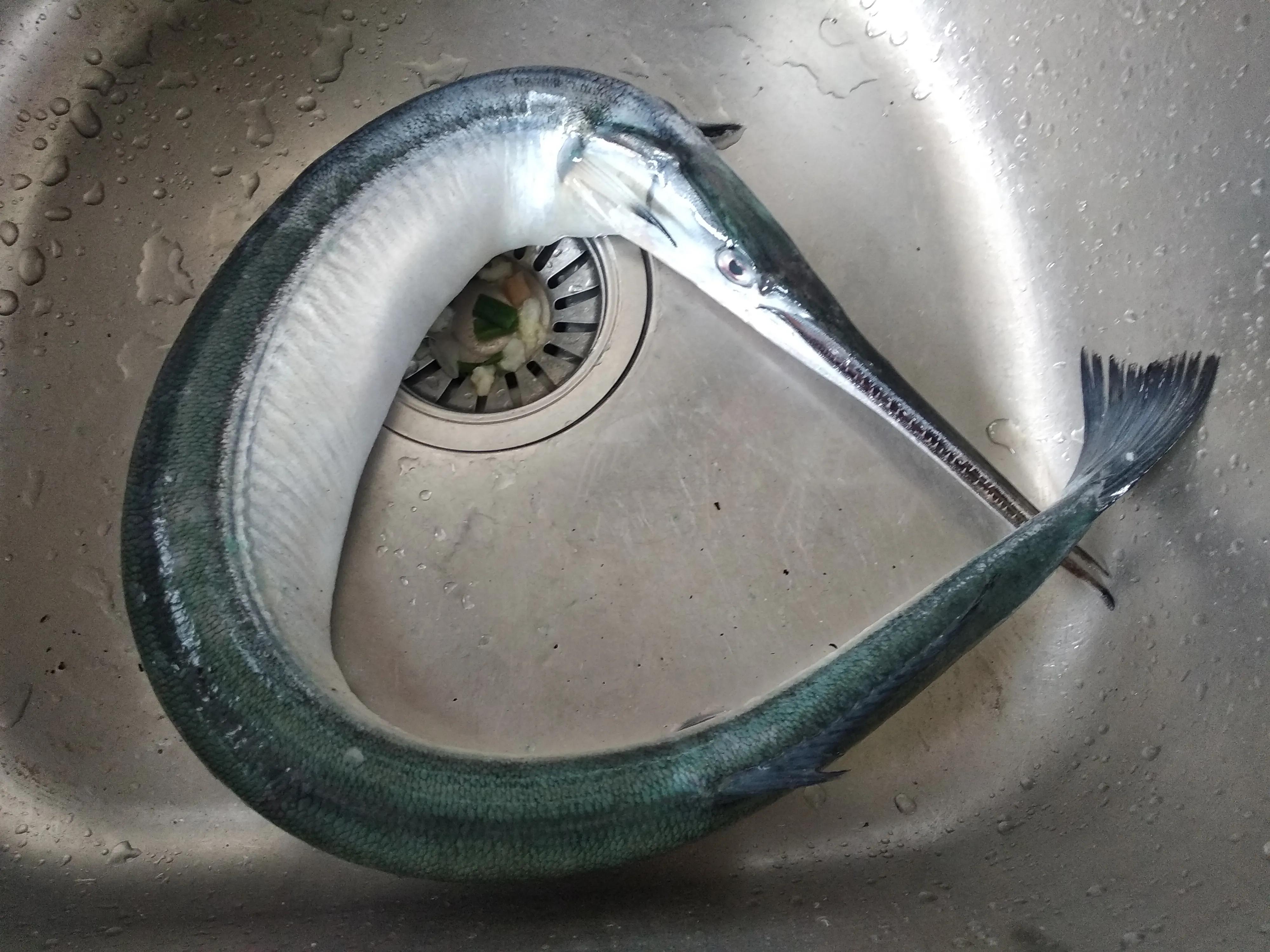 30种最常吃的海鱼图片大全,比较常见可以吃的海鱼