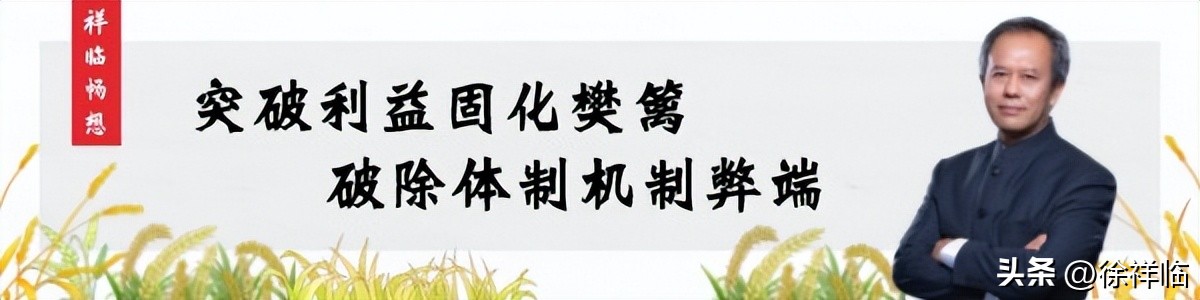农村党支部领办合作社案例,党支部领办合作社成功经验