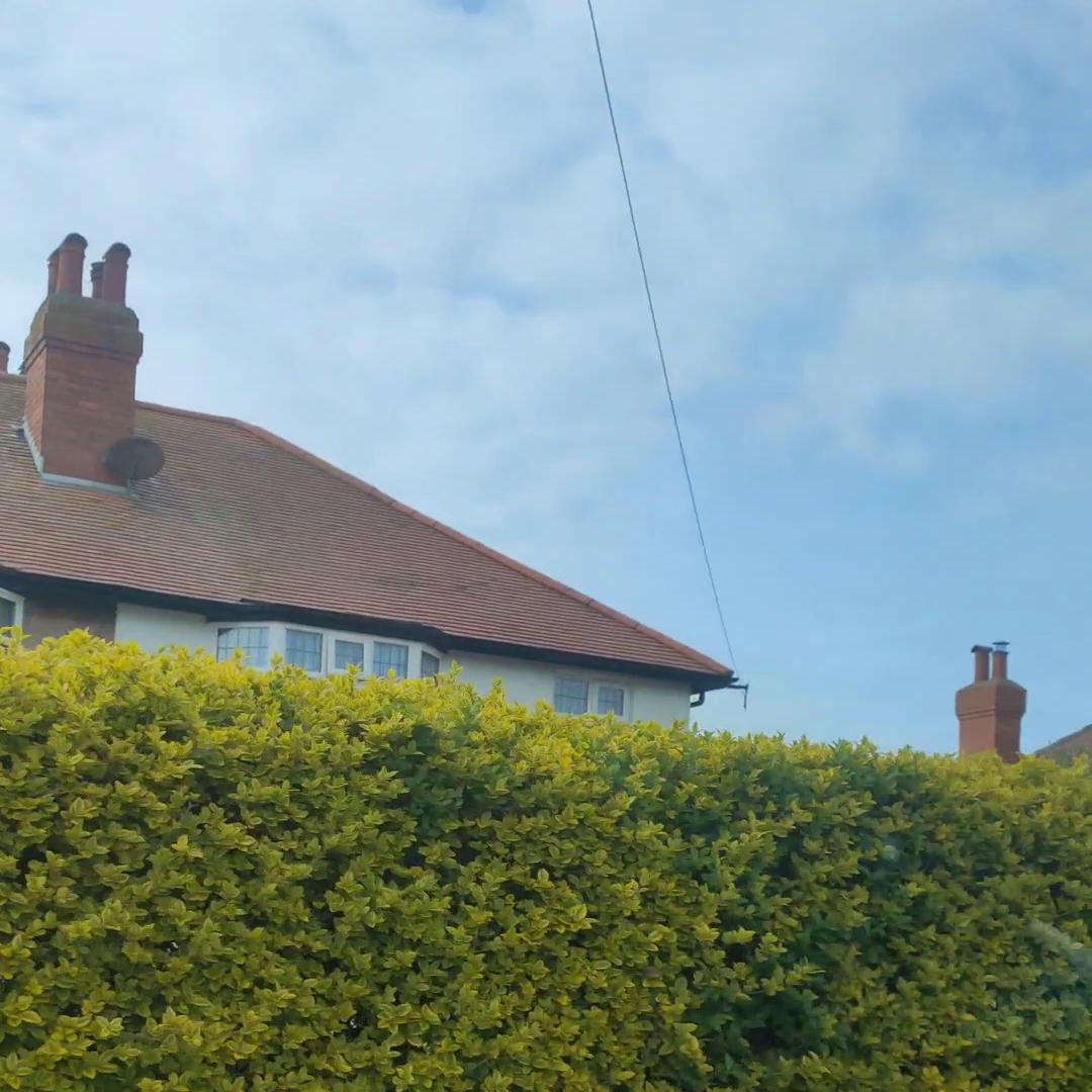 如何做外链最有效,知乎上发外链技巧