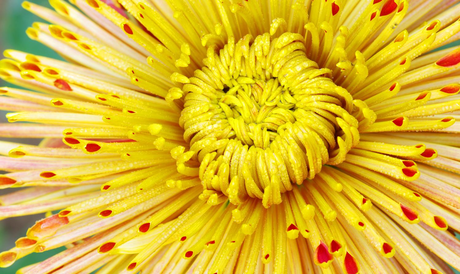 擦了大半辈子的屁股，竟然都擦错了！想要屁股健康，这4点要注意