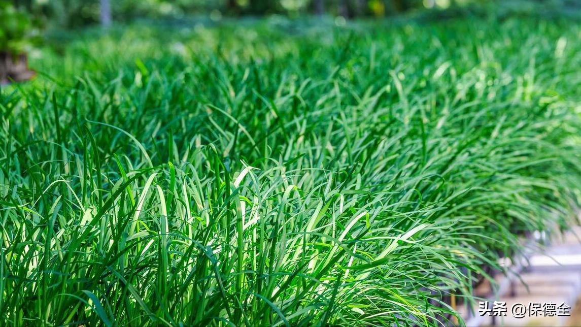 升息降息对股市的走势,为何加息影响股市走势分析