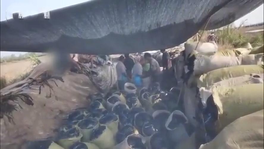 药品管得太紧，食品管得太松，土坑酸菜是什么时候开始的？