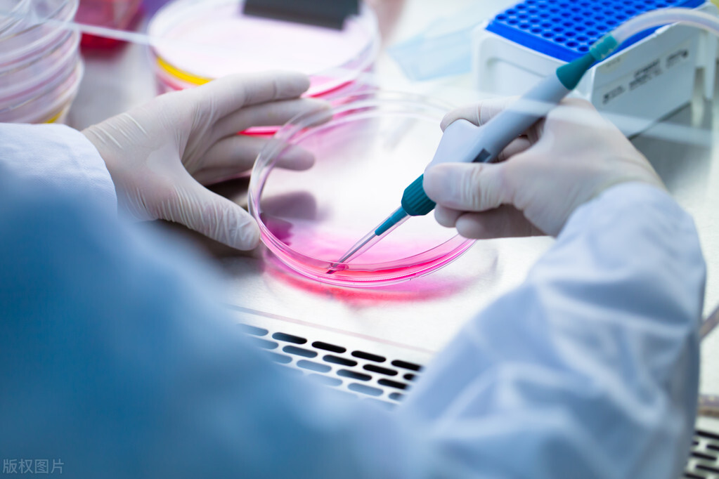 糖尿病干细胞移植能治好费用多少,一型糖尿病干细胞移植可以治愈不