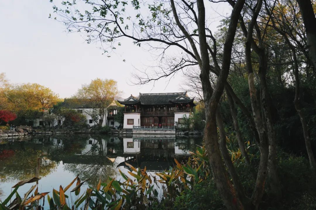 春天的潺潺溪水,春天的顶流