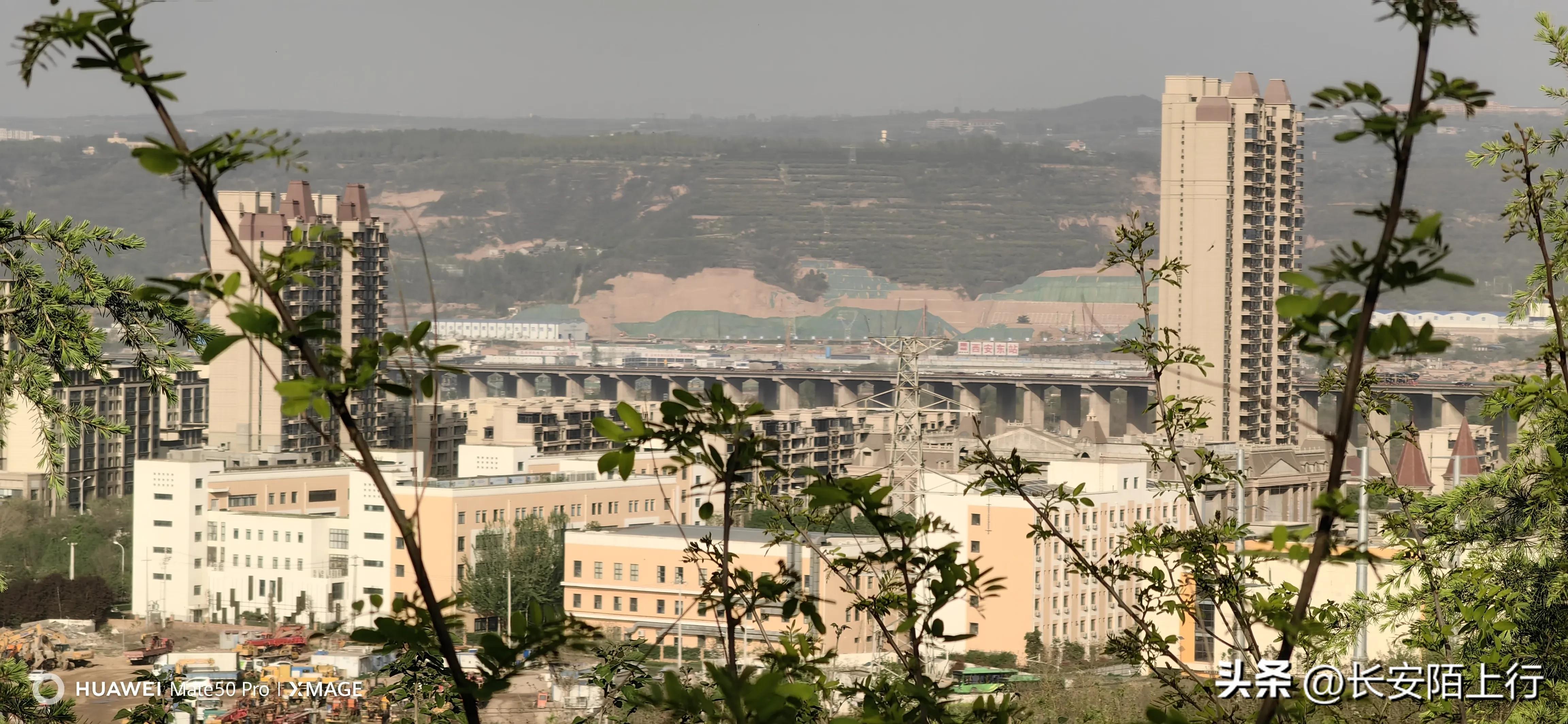 西安植物园新区在哪里,西安新植物园开放了吗