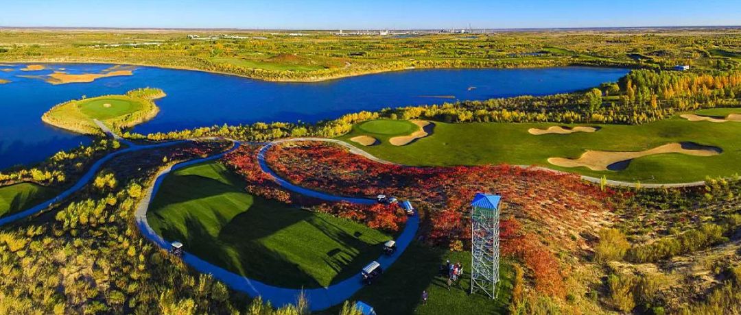 中国碱业之父,中国碱王戴连荣