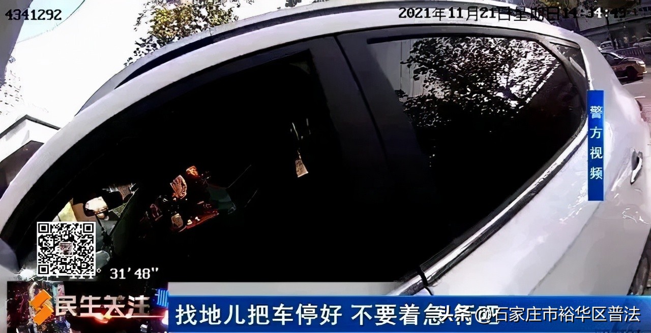 保护野生动物违法案例,最高检危害濒危野生动物典型案例