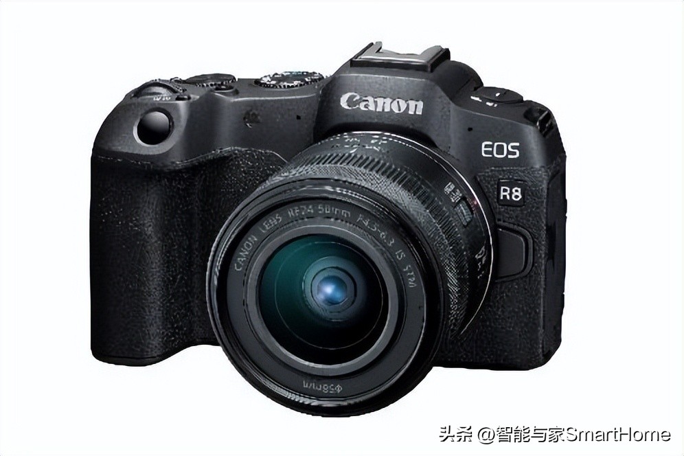 佳能性价比最高的专业全画幅相机,佳能旗舰全画幅相机推荐