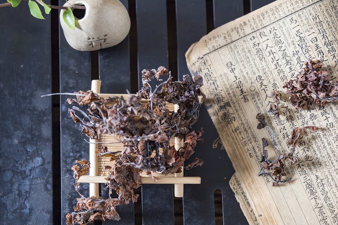 海藻（清化热痰药）