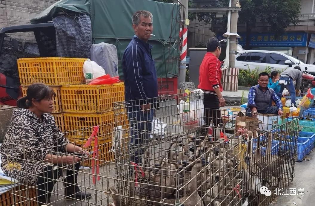 养活我们的菜市