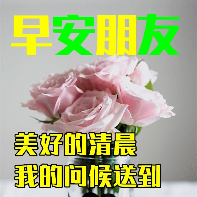 早安心语温暖语句简短2020,早安暖心心语正能量短句