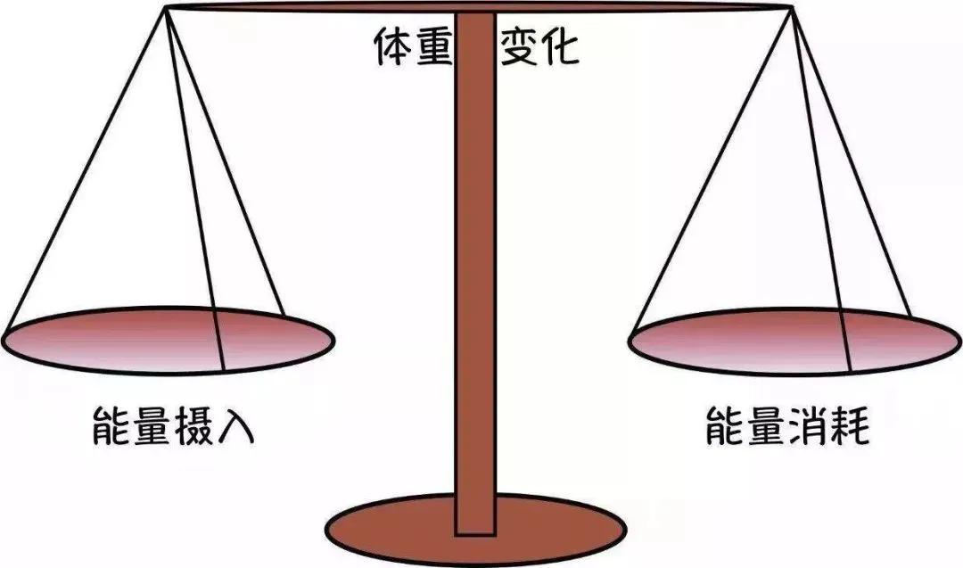 紧致腰腹肌锻炼方法,腹肌锻炼可以让肚子更紧致