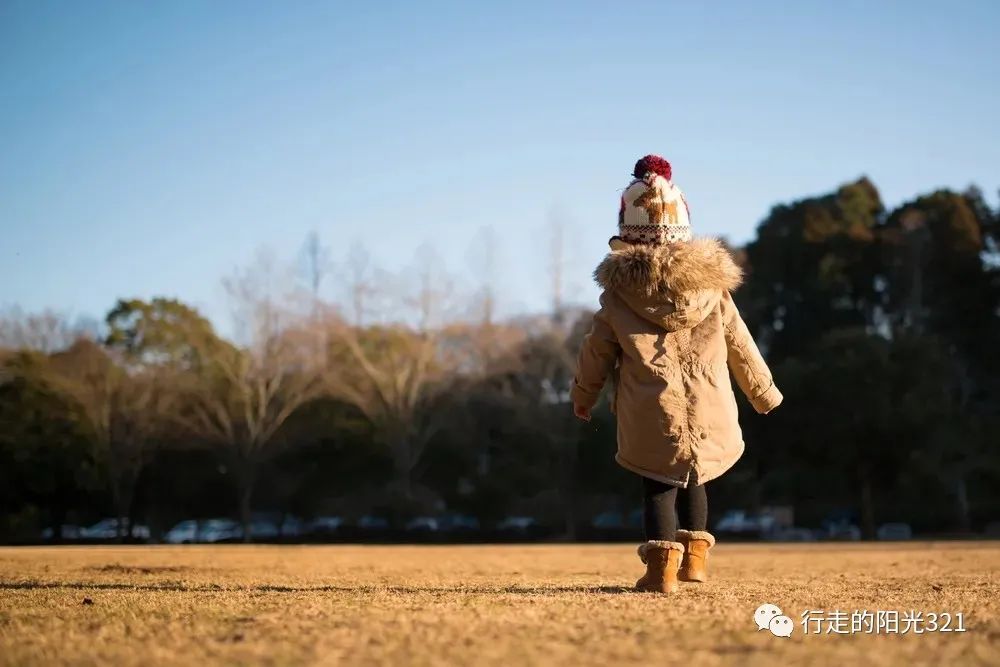 打掉了牙能补回去吗,打掉牙算几级伤残