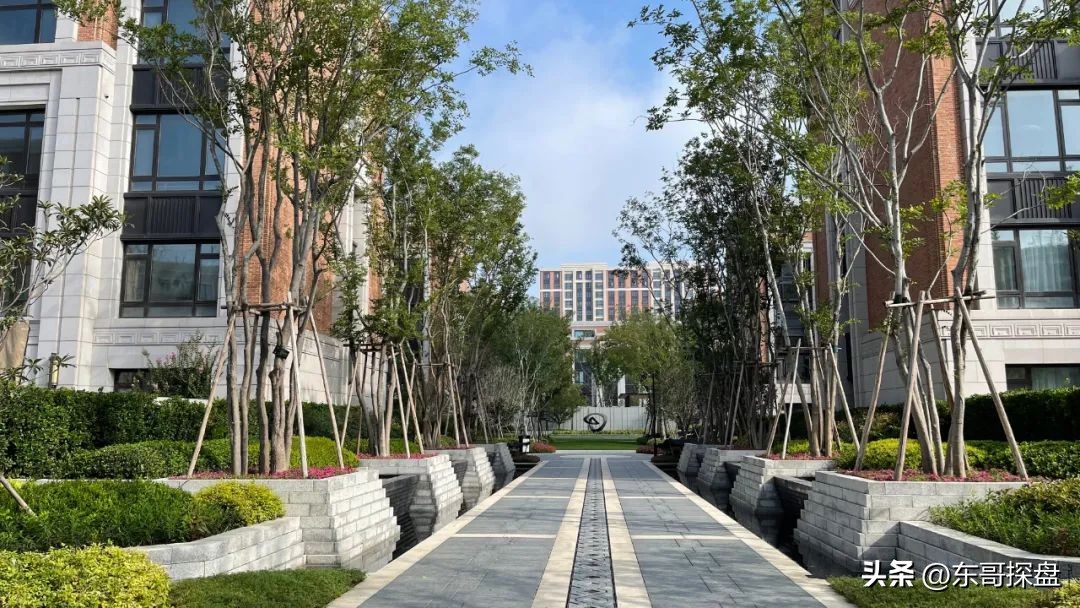 如果能投票，你最希望哪家郑州本土房企渡过危机？