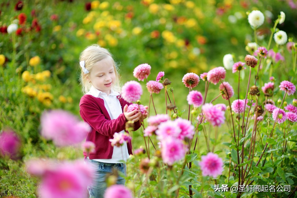 小公主取什么名字,小公主要取什么名字最好听