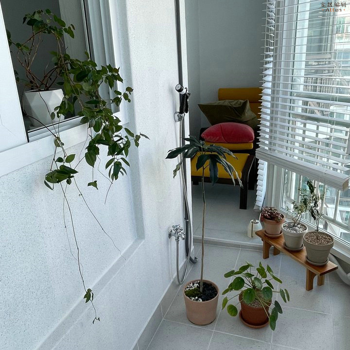 高度自律的生活是什么样的,高度自律生活