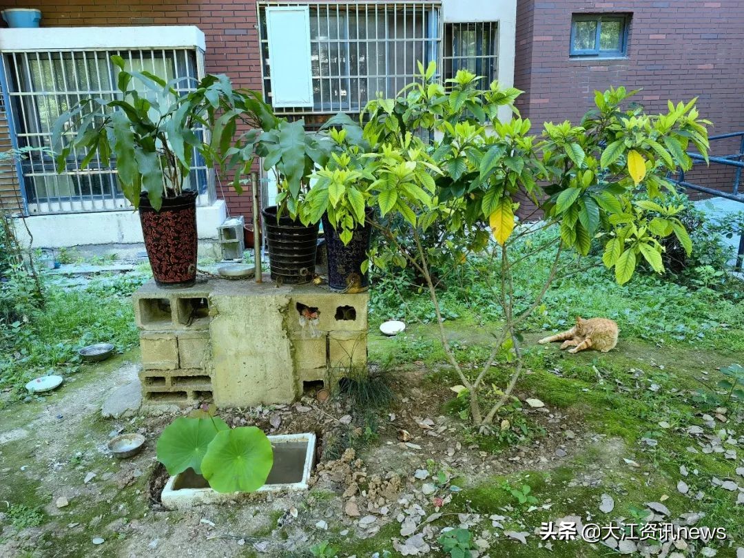 芜湖物业乱象专项整治小区名单,暗访芜湖小区物业问题比比皆是