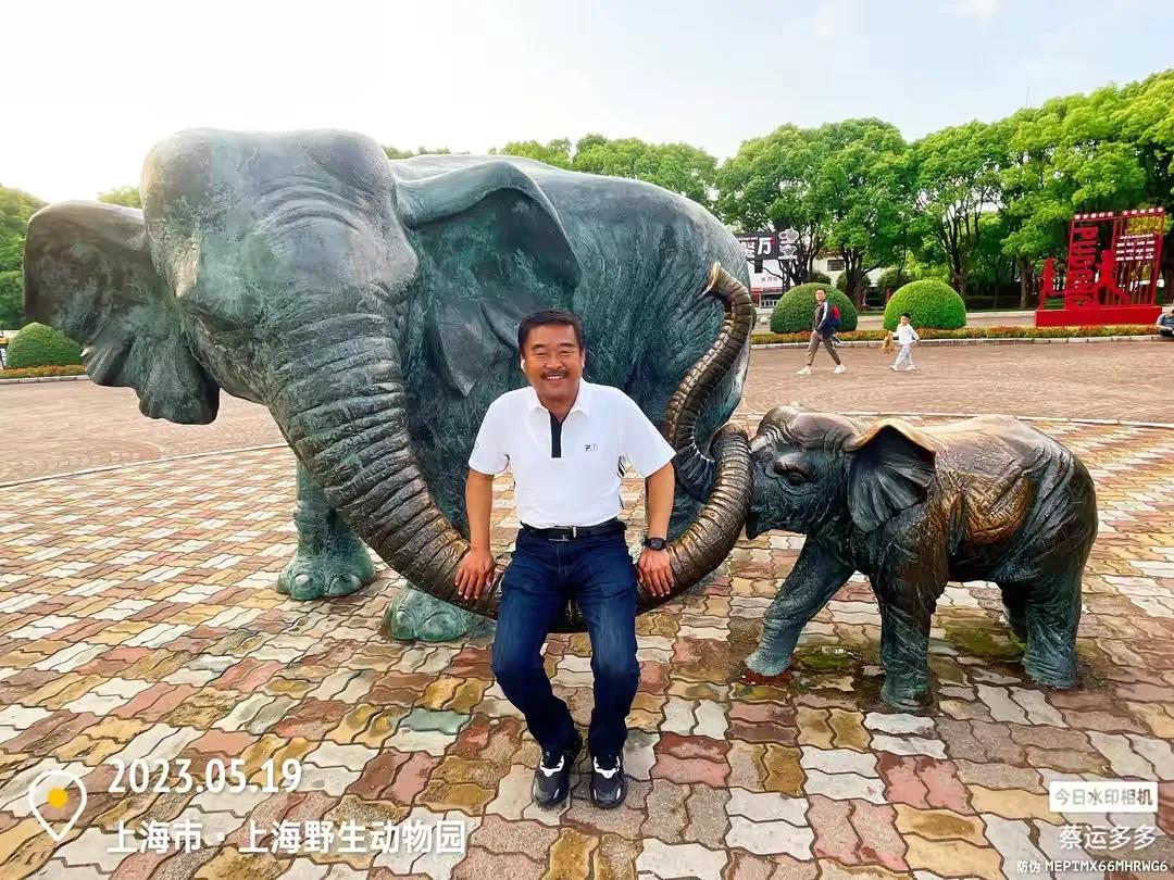 上海野生动物园和上海动物园,上海野生动物园过年营业时间