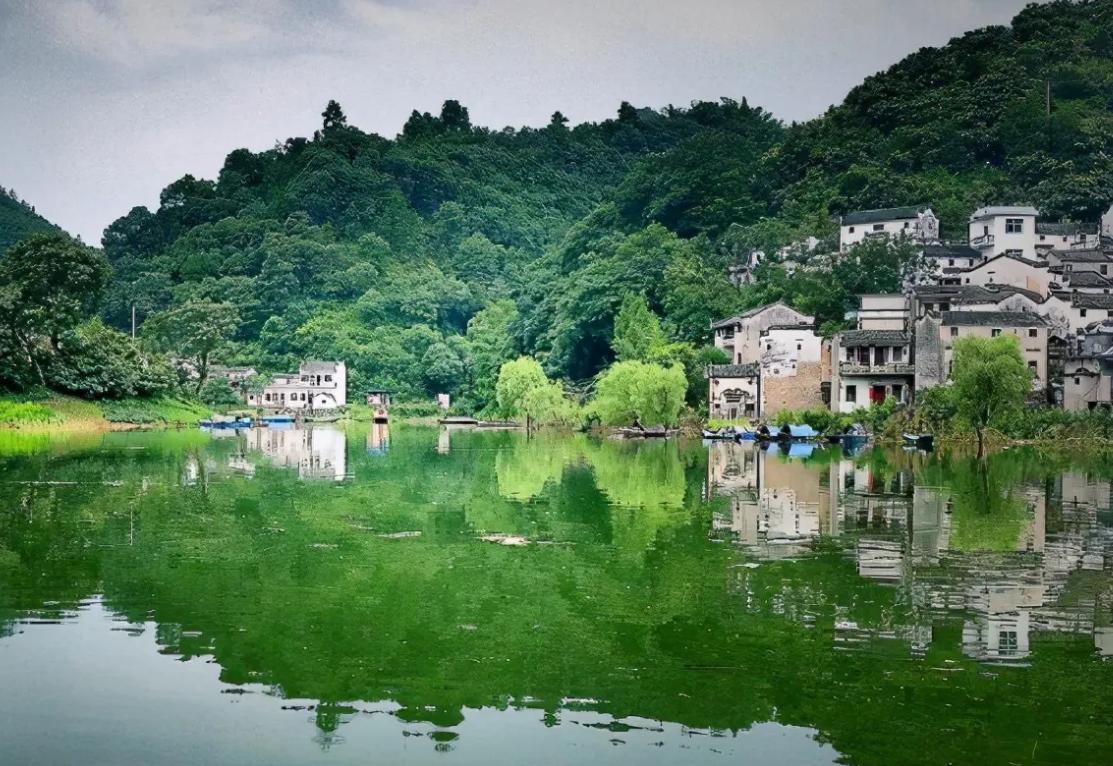 安徽古井贡酒最好的,安徽人对古井贡酒的热爱