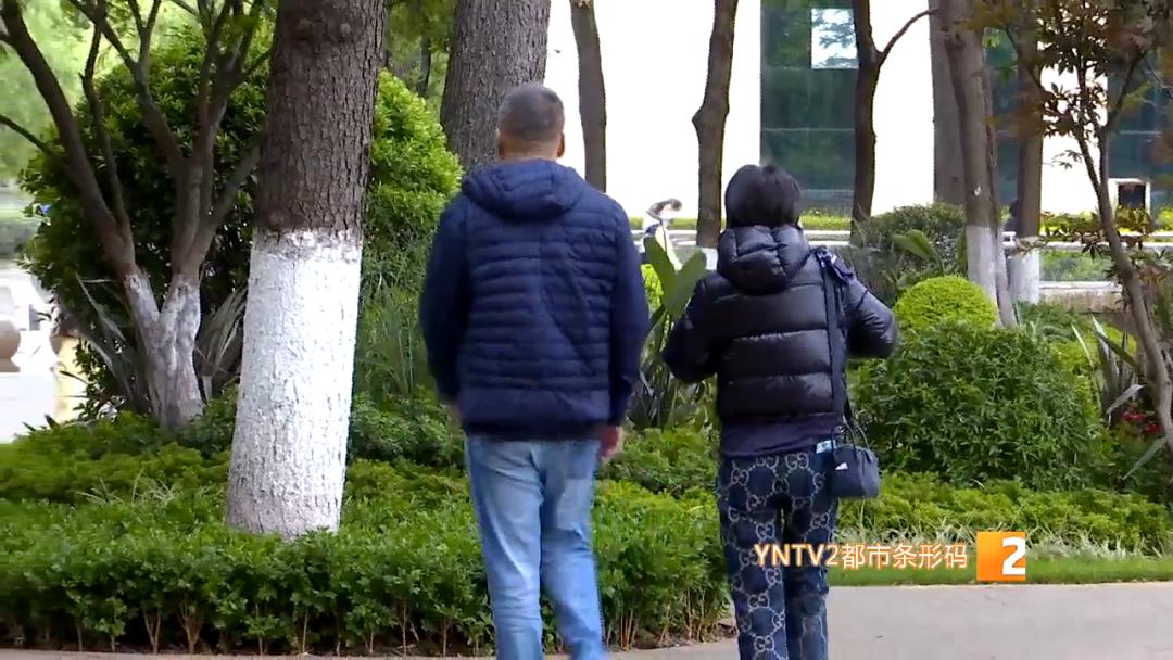 雪后黄山云海壮观,昆明下雪美景