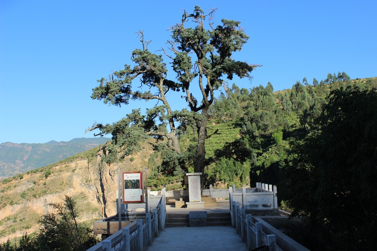 昆明周边小众自驾游,昆明周边游旅行攻略推荐