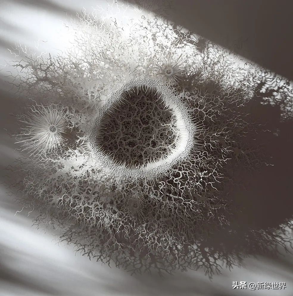 一组纸艺作品,令人惊艳的纸艺作品