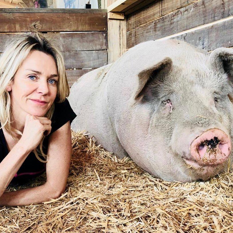 不要不相信，画了十年，或许还不如一头猪